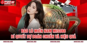 Bao Lô Miền Nam MISO88