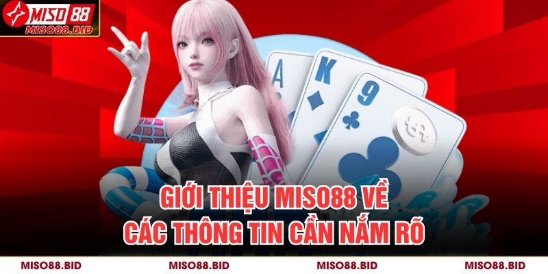 Giới thiệu MISO88 về các thông tin cần nắm rõ